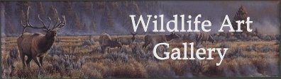 elkbanner.jpg
